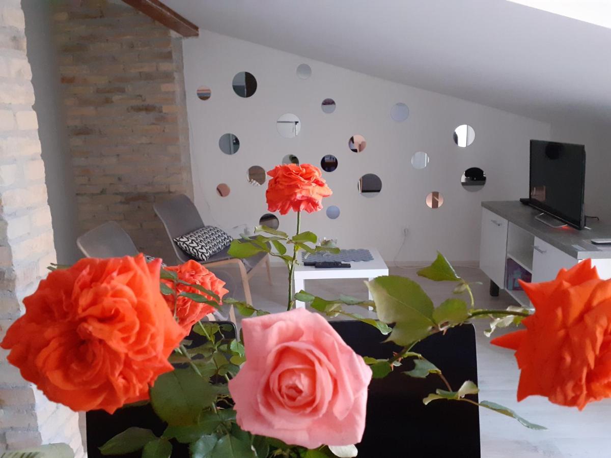 Flora Novi Sad Apartment Екстериор снимка