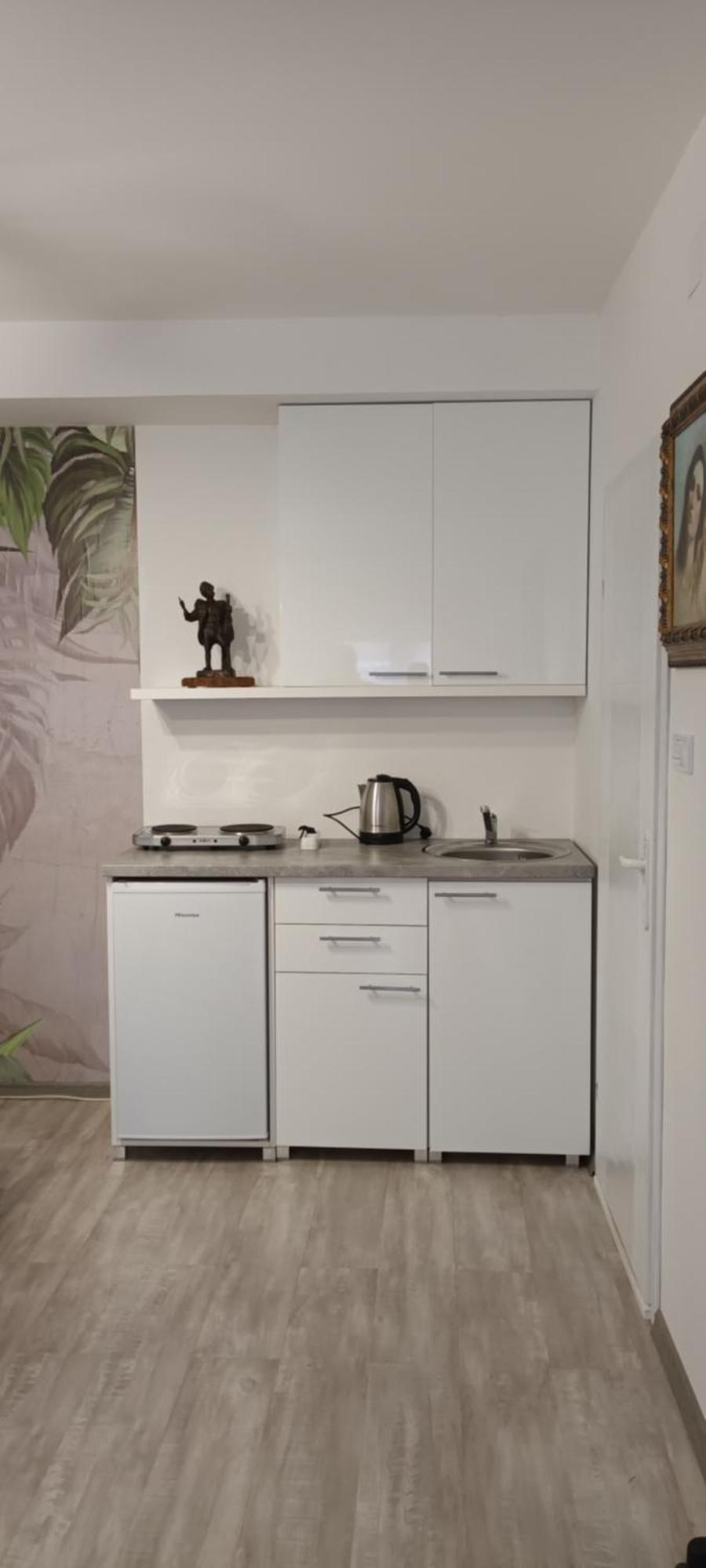 Flora Novi Sad Apartment Екстериор снимка